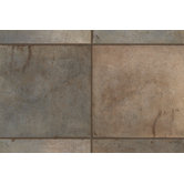 Quarry Stone 3" x 12" Bullnose in Forest