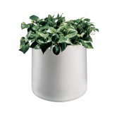 Planter
