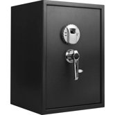 Large Biometric Safe