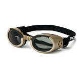 ILS Lense Dog Goggles in Chrome