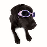 ILS Lense Dog Goggles in Lilac Flower