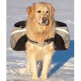Doggles Dog Gear