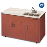 Silver Advantage Triple Bowl Portable Sink