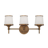 Hagen 3 Light Bath Vanity Light
