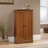 Sauder Multimedia Storage