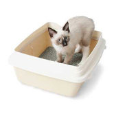 Large Cat Litter Pan with Rim