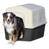 Dog Barn III Shelter