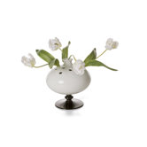 Moooi Decorative Accessories