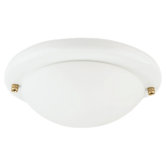 One Light Ceiling Fan Light Kit
