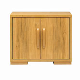 Strand Two Door Cupboard in Oak