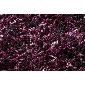 Sprinkle Purple Rug