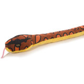 Snake Rainbow Boa
