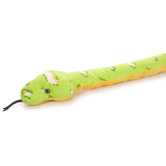 Snake Emerald Tree Boa