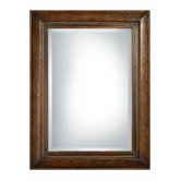 Rowena Rectangular Mirror in Mahogany