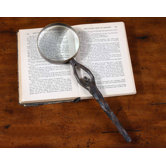 Albus Magnifying Glass
