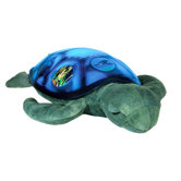 Twilight Sea Turtle