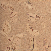 Cremes 12" Engineered Cork in Odysseus-Cr&egrave;me