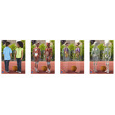Inside Out Lenticular Human Body Poster