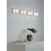Doscubos One Light Wall / Ceiling Light
