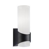 Celino 5" Outdoor Wall Lantern