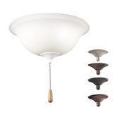 Two Light Ceiling Fan Light Kit