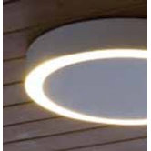 Amigo Indoor / Outdoor Ceiling / Wall Light