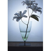 Basequadra Vase