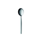 20 Collection Stainless Steel Coffee Spoon