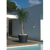 Vaso Fang Round Flower Pot Planter