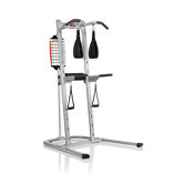 Body Tower Home Gym
