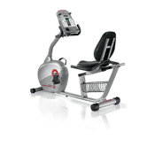250 Recumbent Bike