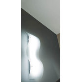 Fluorwing Ceiling or Wall Lamp