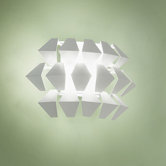 Agave Wall Sconce