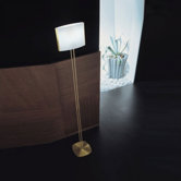 Tecla Floor Lamp in Polished Brass