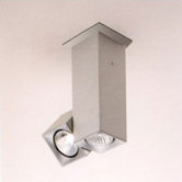 Dau Spot Two Light Flush Mount with Rotating Spot Light