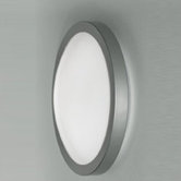 Mini Ai-Pi 1 Light Wall Sconce/Flush Mount