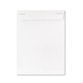 Gold Fibre Fastrip Catalog Envelope, Side Seam, 9 X 12, 100/Box