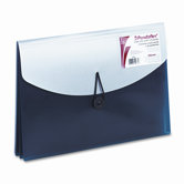 Four-Pocket Slide File Wallet, Letter, Polypropylene
