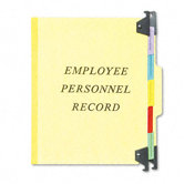 Hanging Personnel Folders, 1/3 Cut Top Tab, Letter