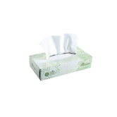 Envision Facial Tissue in White