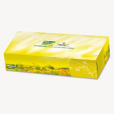 Pro 100% Premium Recycled Facial Tissue, 100/Box, 30 Boxes/Carton