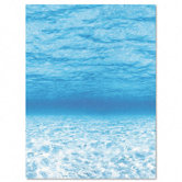 Fadeless Designs Bulletin Board Paper