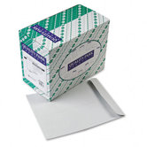 Catalog Envelope, 10 X 13, 250/Box