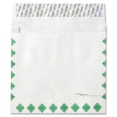 Expansion Tyvek Envelope (100 Count)