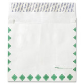 Expansion Tyvek Envelope (100 Count)