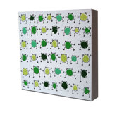 Lotsa Organized Frogs Original Canvas Painting