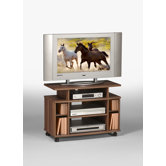 41,7cm TV-Videowagen