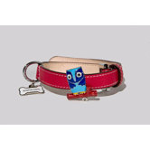 Owl Collar in Red
