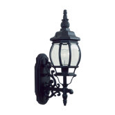 Frontenac  Outdoor Wall Lantern in Black