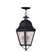 Amwell 2 Light Outdoor Hanging Lantern